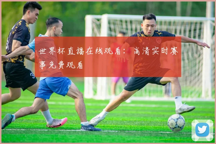 世界杯直播在线观看：高清实时赛事免费观看