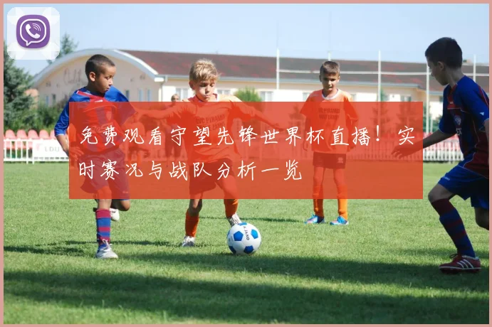 免费观看守望先锋世界杯直播!实时赛况与战队分析一览