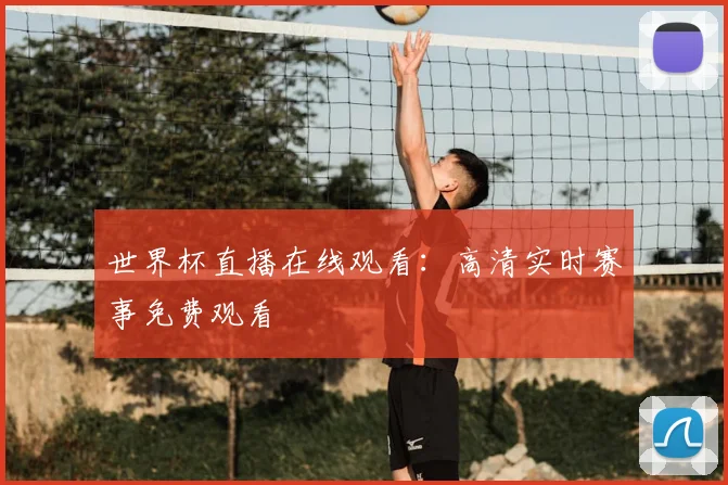 世界杯直播在线观看：高清实时赛事免费观看
