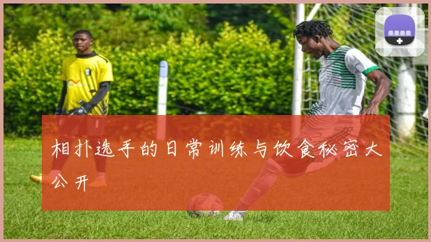相扑选手的日常训练与饮食秘密大公开